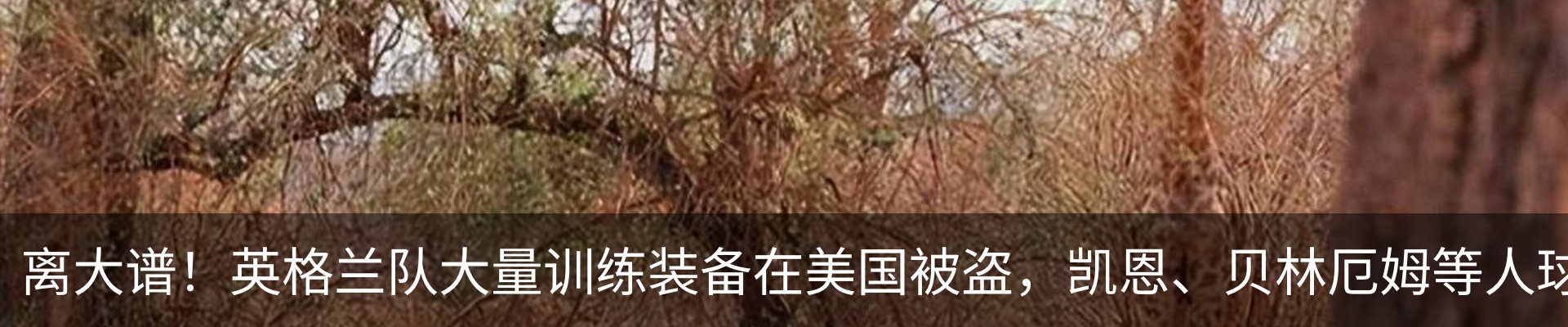 行业资讯